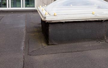 disadvantages of Langenhoe flat roofs